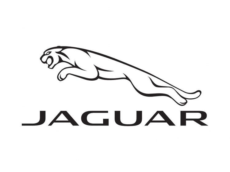 Jaguar - Nacosnepal