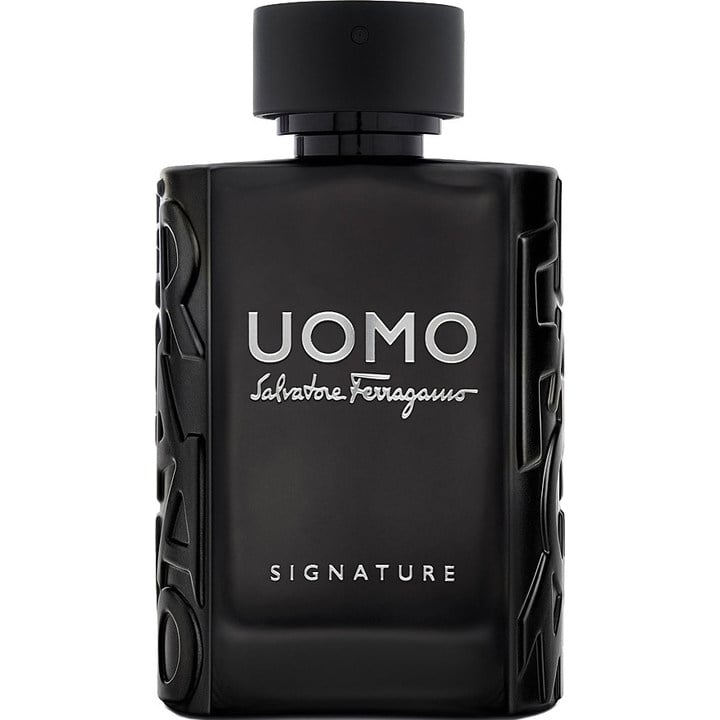 Salvatore Ferragamo Uomo Signature by Salvatore Ferragamo Eau De Parfum 100ml - Nacosnepal