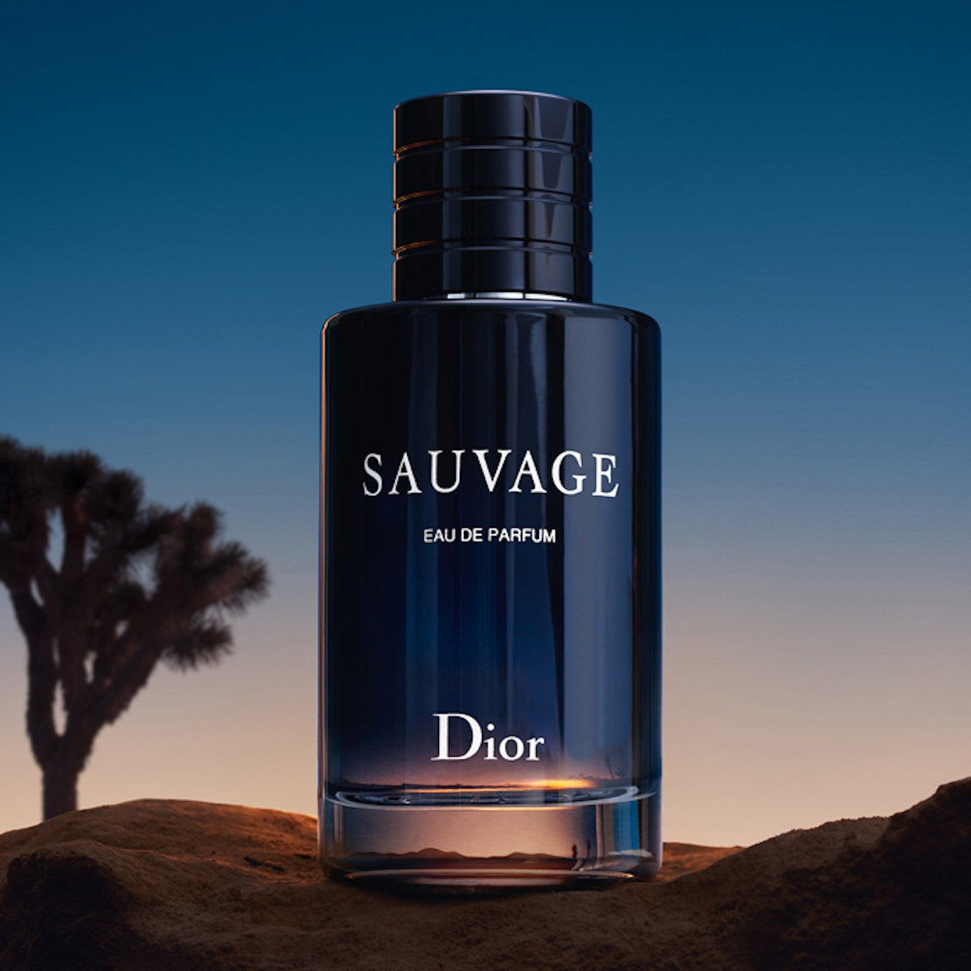 Dior Sauvage Eau De Parfum For Men 200ml - Nacosnepal